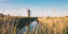 Broads Authority Volunteer Action Day - How Hill, Reedham Marshes