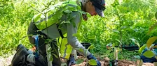 Fall Planting Event