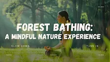 Forest Bathing | A Mindful Nature Experience