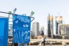 Cyanotype 101