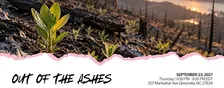 Out of the Ashes