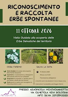 RICONOSCIMENTO E RACCOLTA ERBE SPONTANEE