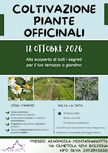 COLTIVAZIONE PIANTE OFFICINALI