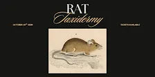 Rat Taxidermy Workshop