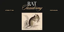 Rat Taxidermy Workshop
