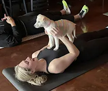 Dog Yoga~ Nov 8 @ 1-2:30 at Third Wheel Brewing