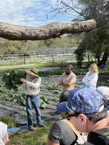 Simple Sauerkraut Workshop