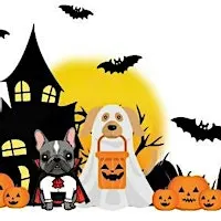 Dog Costume Contest