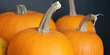 Noite de Halloween