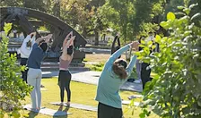 Yoga at The Farm