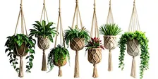 Macrame Plant Hanger Workshop