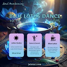 The Blue Lotus Experience