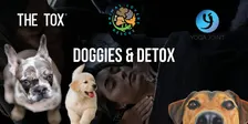 Doggies & Detox