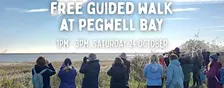 Free beginners walk at Pegwell Bay NNR