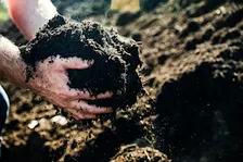 Compost giveaway