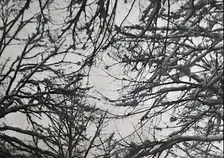 Reverie Baroque: Winter Dreams Remembered