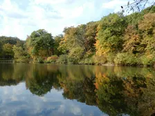 Rewiring for Calm: A Guided Nature Walk to Reset Your Nervous System