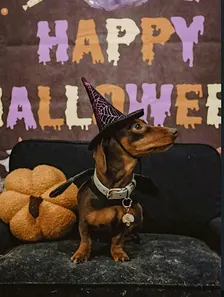 Sausage Fest - Spooky Sausage Scare Fest