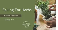 Falling Into Herbs