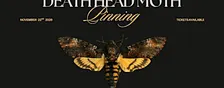 Death's-Head HawkMoth Pinning Workshop
