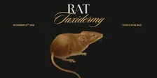Rat Taxidermy Workshop