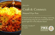 Craft & Connect: Natural Dye Fun | 10.8.26