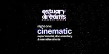 Estuary Dreams: Basildon Nights - Cinematic