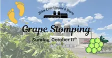 Grape Stomping at Bishop Estate Vineyard & Winery