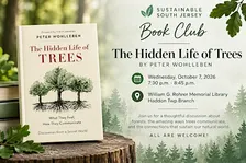 SSJ Book Club: The Hidden Life of Trees