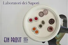FERMENTAZIONI, DISTILLAZIONI E AFFINAMENTI