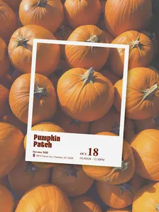 Pumpkin Patch at Savona Mill