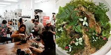 Beginner Terrarium Building Workshop