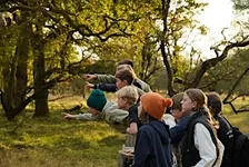 Ga je 14 okt mee op WWF excursie naar de Damherten? Het is de bronsttijd!