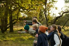 Ga je 14 okt mee op  WWF excursie naar de Damherten? Het is de bronsttijd!