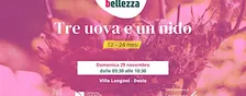 TRE UOVA E UN NIDO [12-24 MESI]