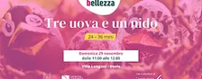 TRE UOVA E UN NIDO  [24-36 MESI]