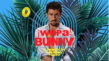 ¡Wepa! Bunny • Zoom • Frankfurt