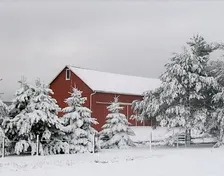 Winter on the Farm
