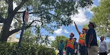 BASIC Tree Trimmer Certification - SPANISH