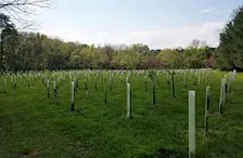 Fall 2026 Working Forest Field Tour: Frederick County