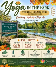 Fall Yoga in Terrell Park  | Stretch, Mobility & Outdoor Yoga