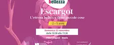ESCARGOT - L'eterna bellezza delle piccole cose
