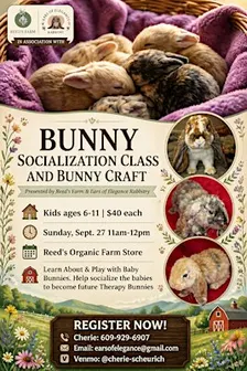 Baby Bunny Socialization Class