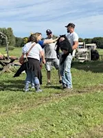 Breakfast on the Farm