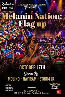 MELANIN NATION : FLAG UP