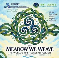 The Meadow We Weave: The World's First Seagrass Ceilidh