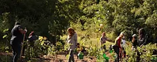 Ecological Restoration Planting with Nikibii Dawadinna Giigwag