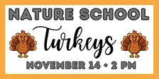 Nature School: Turkeys