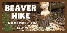 Beaver Hike