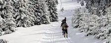 Winter Harz Adventure: Brocken Views & Forest Trails
